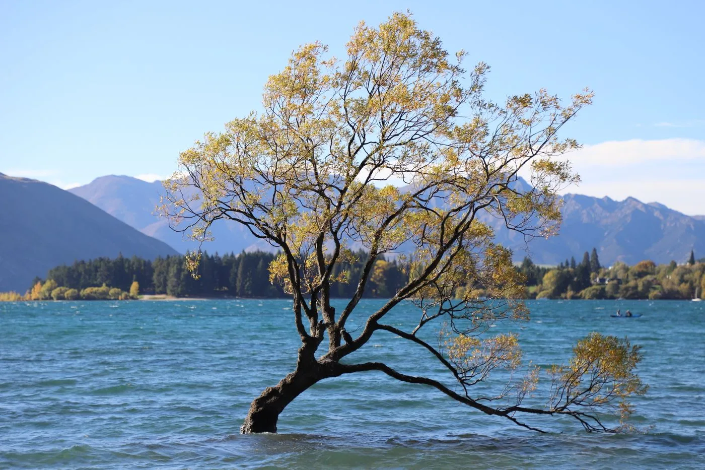 Wanaka in Autumn